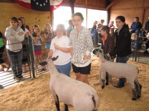 Cover photo for 55th Annual Beaufort-Washington Livestock Show and Sale