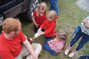 Cover photo for 2014 4-H Livestock Show Results