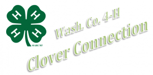 Cover photo for 4-H Clover Connection - Fall 2014