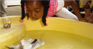 Cover photo for 4-H and Schools: How Can We Enrich Your Classroom?