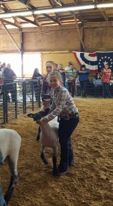 Cover photo for 2017 Washington County Livestock Show