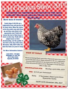 Cover photo for Call to Reserve Your 4-H Layer Hens Today!