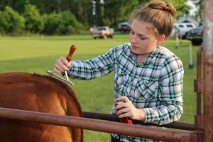 Cover photo for Blue Ribbon Youth