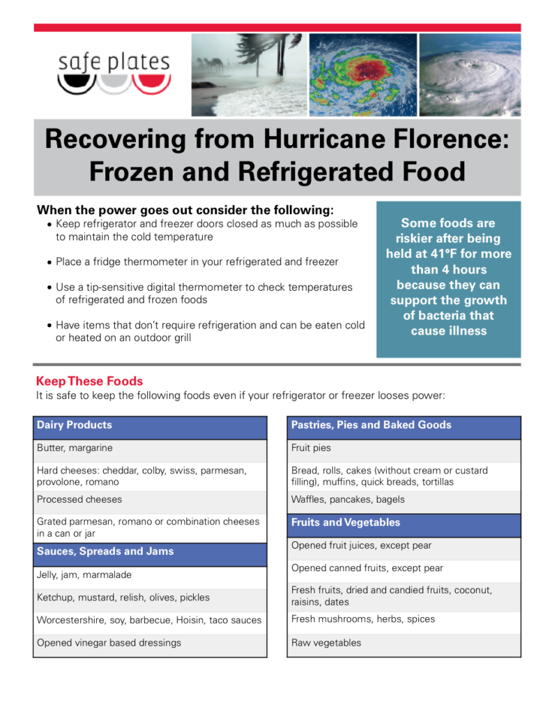 Frozen food flyer image