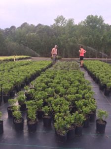 Cover photo for Eastern NC Nursery Conference Registration Now Available