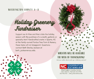 Cover photo for 4-H Holiday Greenery Fundraiser