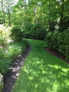 Green grass with green shrubs and green trees on each side